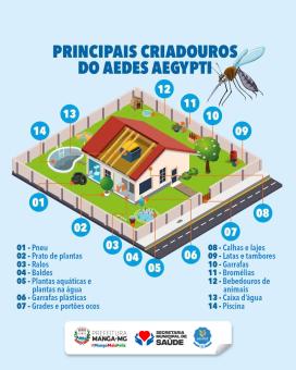 ELIMINE OS CRIADOUROS DO AEDES AEGYPTI!